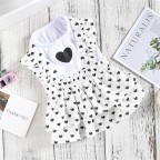 Spring Cute Princess Style Pet Dress