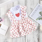 Spring Cute Princess Style Pet Dress
