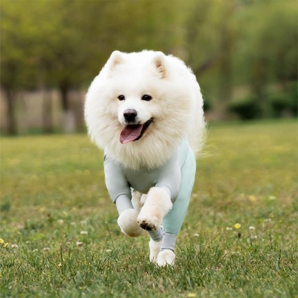 Breathable, comfortable and portable pet clothing