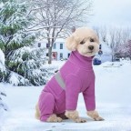 Classic Winter Warm Pet Jumpsuit