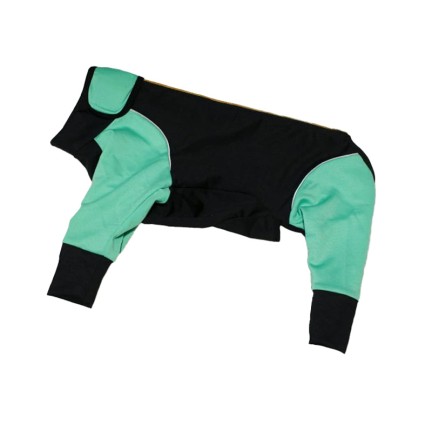 Luxury Fashion Dog Jumpsuit