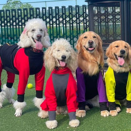 Luxury Fashion Dog Jumpsuit