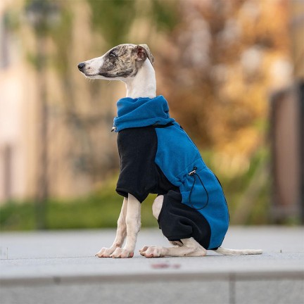 Wool patchwork pet fashion jumpsuit