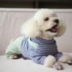 Striped Pet Sweater Bodysuit