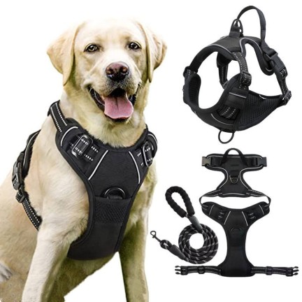 Durable Retractable Nylon Dog Collar and Leash