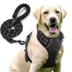 Durable Retractable Nylon Dog Collar and Leash