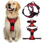 Durable Retractable Nylon Dog Collar and Leash