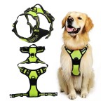 Durable Retractable Nylon Dog Collar and Leash