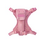 Waterproof Polyester Dog Harness and Leash