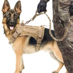 Durable Nylon Round Rope Chest Strap Dog Leash Set