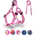 Adjustable Heavy Duty Dog Harness Leash Set