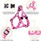 Adjustable Heavy Duty Dog Harness Leash Set