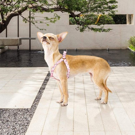 Pink Floral Adjustable Dog Harness Leash Set