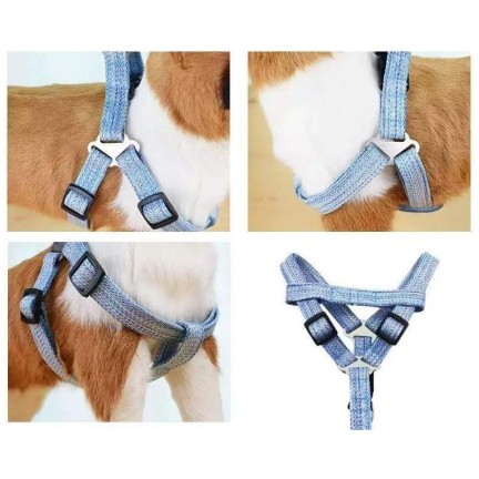 Durable Strong Buckle Dog Harness Leash Set