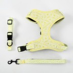 Adjustable Printed Breathable Pet Harness Leash Set