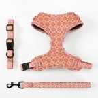 Adjustable Printed Breathable Pet Harness Leash Set