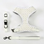 Adjustable Printed Breathable Pet Harness Leash Set