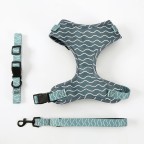Adjustable Printed Breathable Pet Harness Leash Set