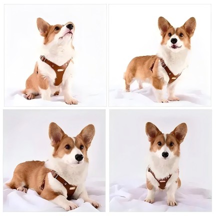 Pet soft leather chest strap leash