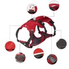Pet anti-escape reflective harness traction set