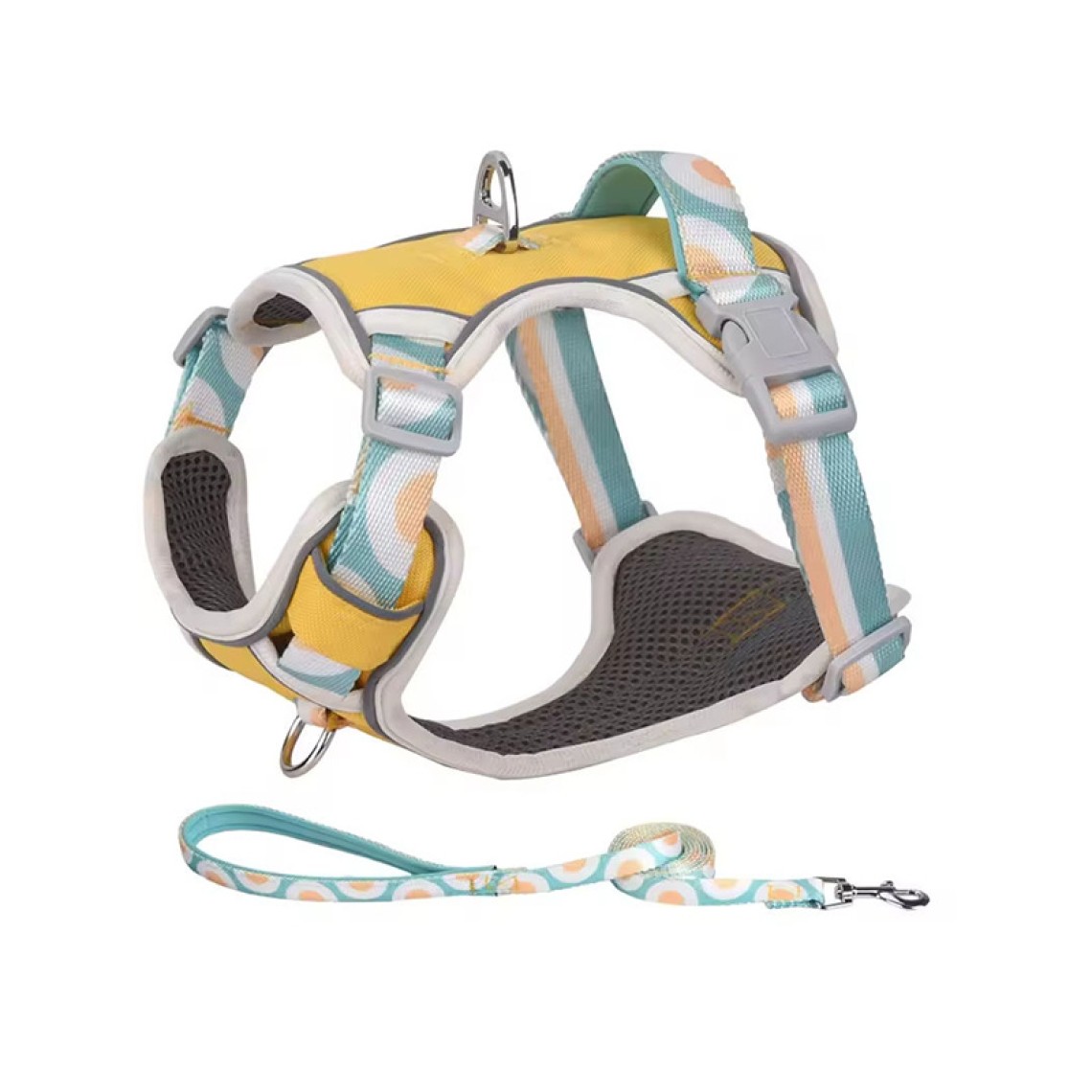 Durable Nylon Pet Harness Leash Set