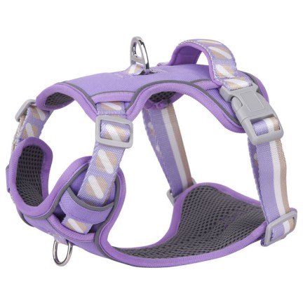 Durable Nylon Pet Harness Leash Set