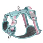 Durable Nylon Pet Harness Leash Set