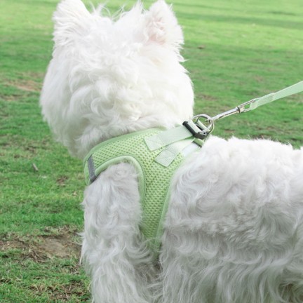 Adjustable reflective breathable harness traction suit