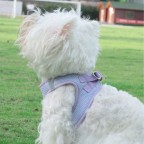 Adjustable reflective breathable harness traction suit