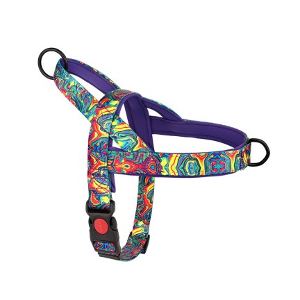 Thickened anti-pull nylon pet harness traction set