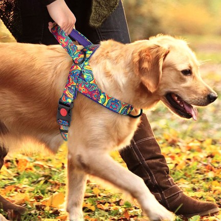Thickened anti-pull nylon pet harness traction set