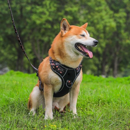 Adjustable Reflective Deluxe Harness Traction Kit