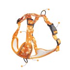 Adjustable Reflective Deluxe Harness Traction Kit