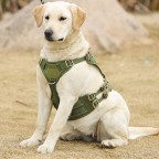 Reflective design no-pull harness traction suit