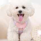 Cute Polka Dot Polyester Harness Traction Set