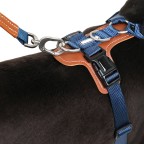 Simple high-quality nylon harness traction set