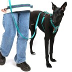 Simple high-quality nylon harness traction set