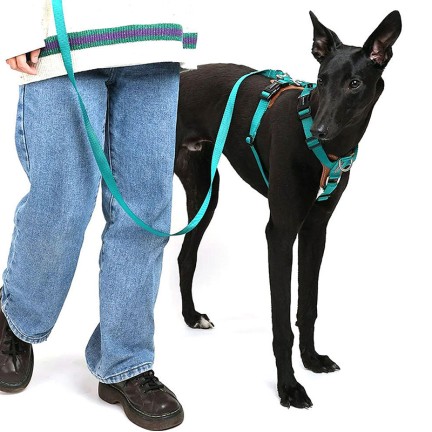 Simple high-quality nylon harness traction set