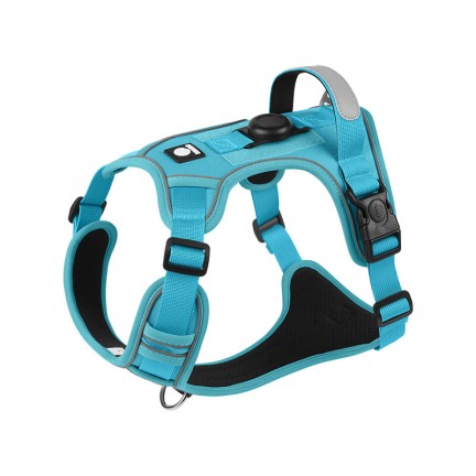 Fashion striped explosion-proof and anti-lost pet harness