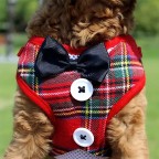 Elegant Bow Christmas Pet Leash