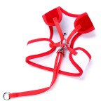 Elegant Bow Christmas Pet Leash