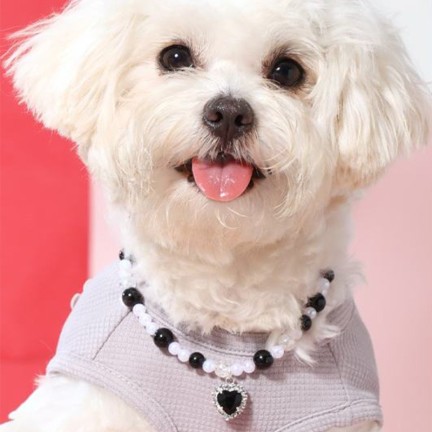 Cute Fashion Luxury Pet Necklace