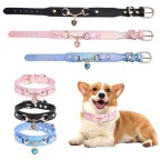 Pet collar embellished with sparkling rhinestones