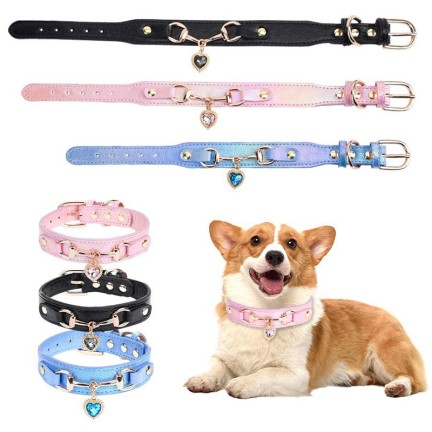 Pet collar embellished with sparkling rhinestones