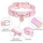 Pet collar embellished with sparkling rhinestones