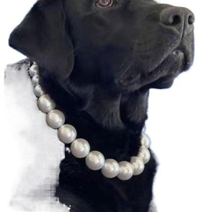 Sweet and cute pearl chain necklace
