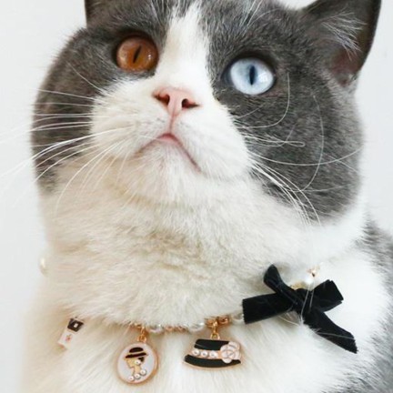 Pearl Velvet Bow Pet Necklace