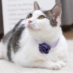 Satin Ribbon Luxury Washable Pet Collar