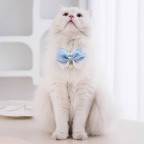 Adjustable Solid Decorative Ribbon Pet Necklace
