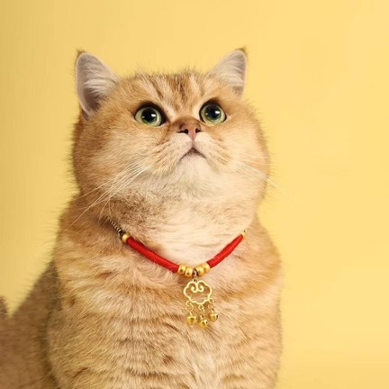 Safety Lock Pet Collar Necklace